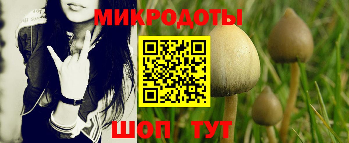 наркошоп  Галлюциногенные грибы MAGIC MUSHROOMS  Галлюциногенные грибы Psilocybe  Вход с VPN  Советский 